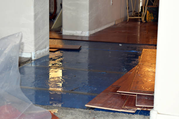 Professional Water Damage Restoration technician working in Exeter, CA
